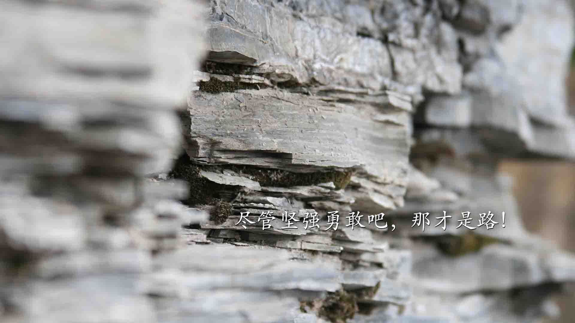 库里驶出新高度，当篮球智慧接管F1新赛季，上海男篮的鏖战哲学与之共鸣