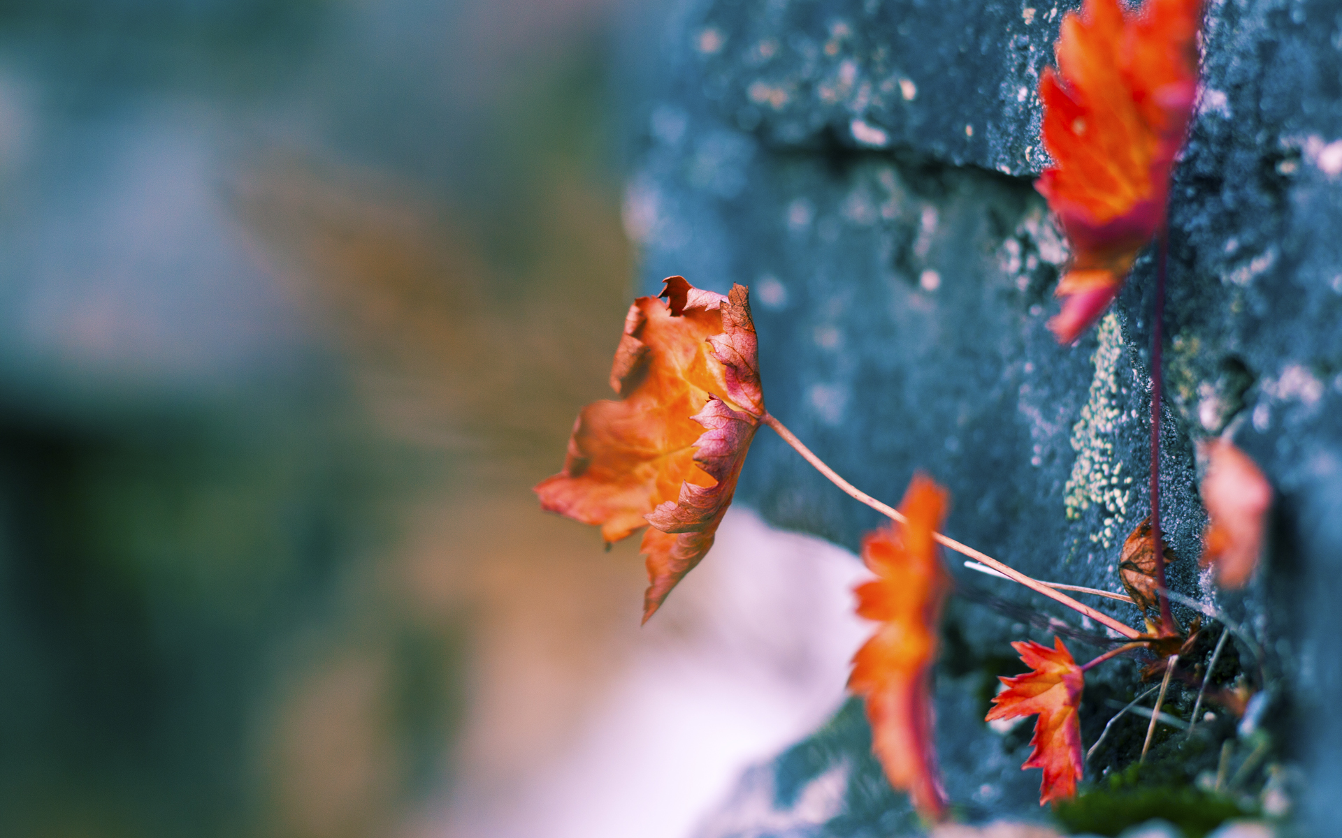 震撼降维打击！西亚卡姆34分肆虐禁区，步行者战术体系全面压制吉林队