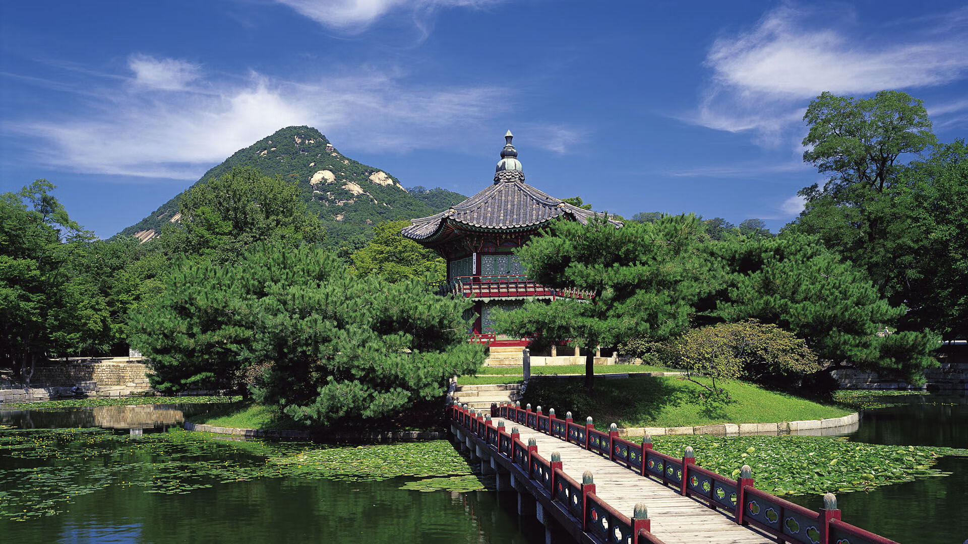 热带雨林与仙人掌沙漠，当福登成为非洲雄狮的答案