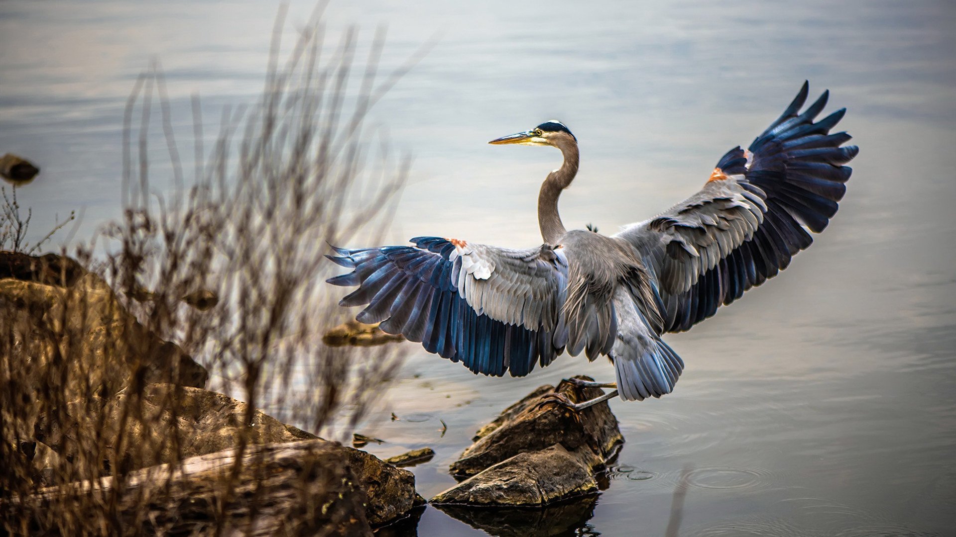 爱游戏娱乐-足球之月双星闪耀，卡塔尔破茧成蝶，莱万独力擎天