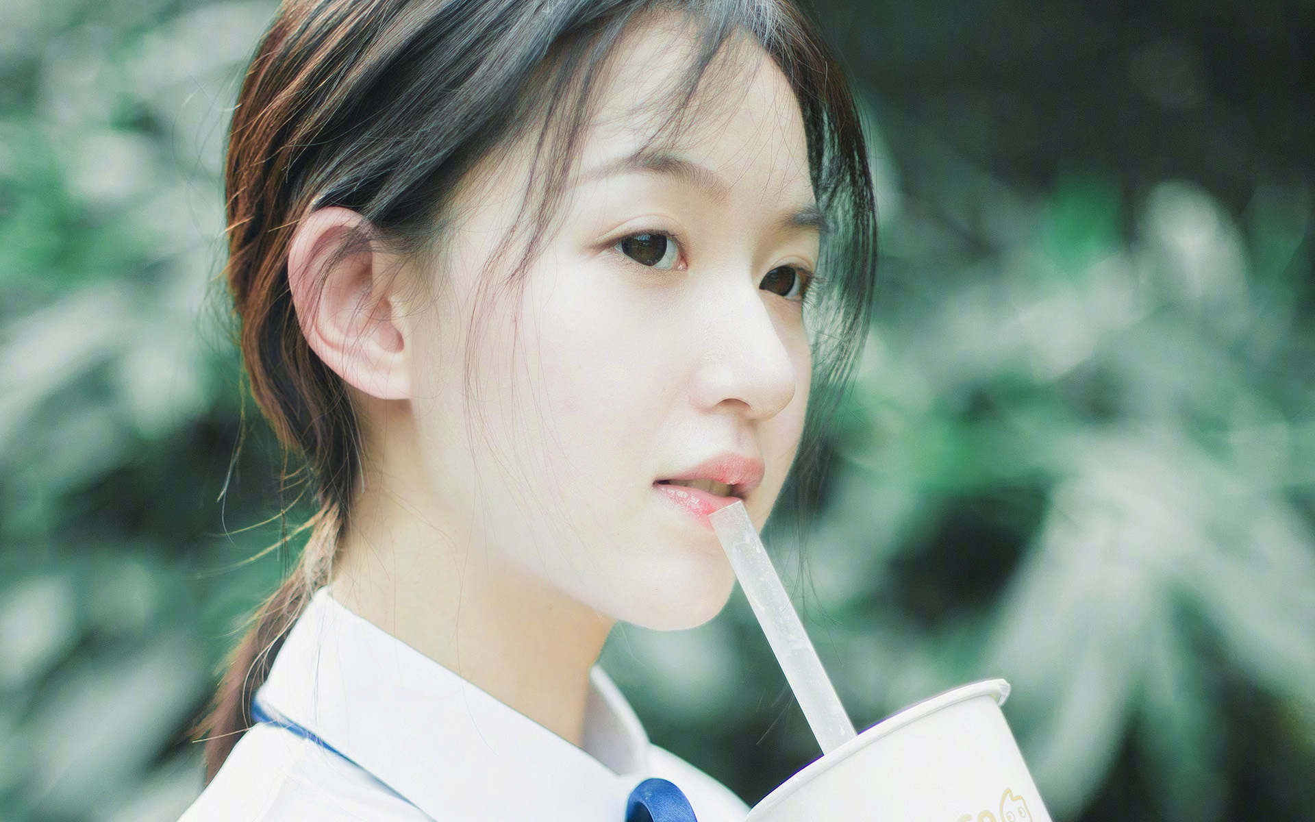 巴格达之夜，当沙漠铁骑在威斯特法伦写下天方夜谭