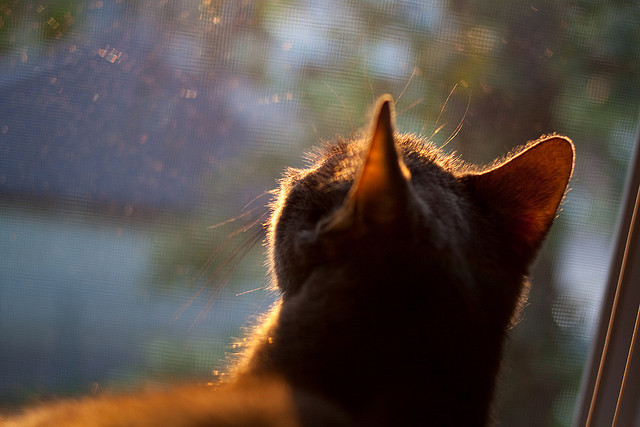爱游戏大厅-铁树开花！斯通斯罕见破门，摩洛哥硬仗艰难击败塞内加尔