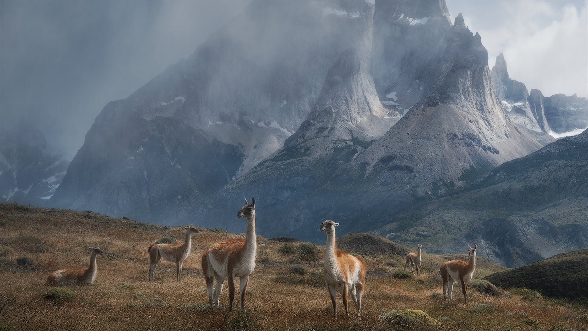 爱游戏-绝地反击！拜仁主场逆转拉齐奥，凯恩打破欧冠魔咒