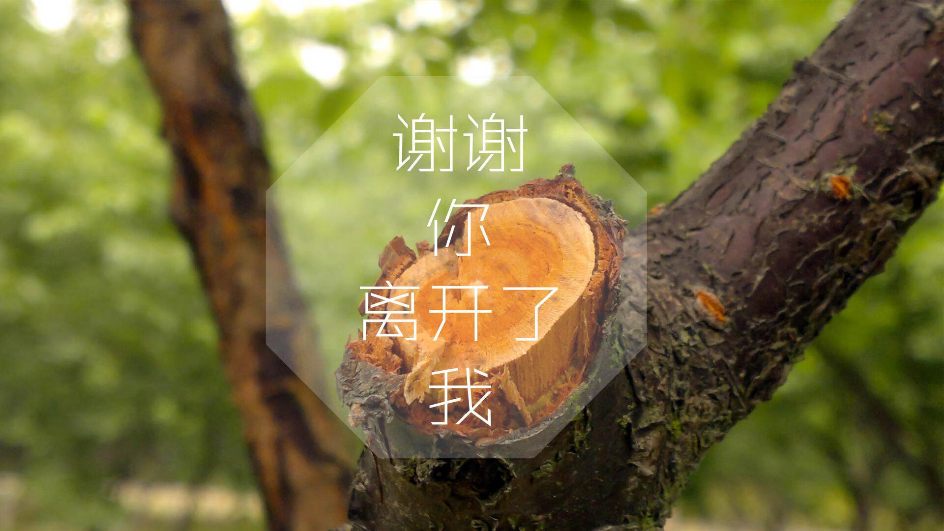 冰与火交织的夜晚，2026世界杯H组，维尼修斯导演绝杀，斯洛伐克替补奇兵改写命运