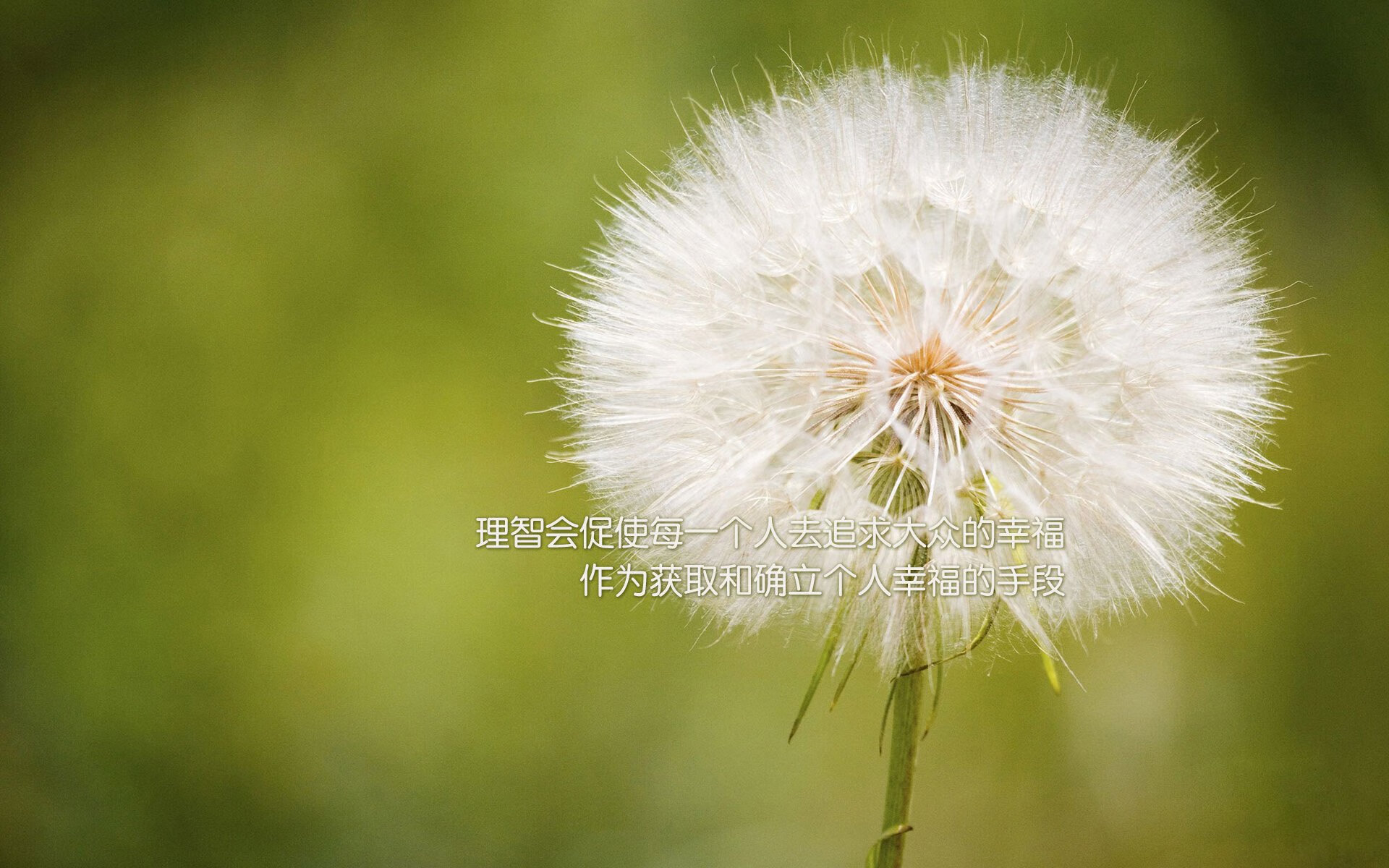 独幕绝唱,2026世界杯A组巅峰对决,哥伦比亚碾压罗马尼亚,苏亚雷斯以神迹定义永恒